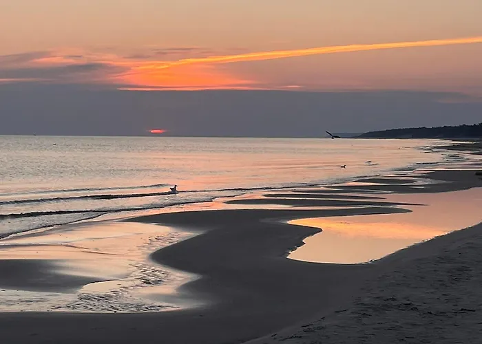 Lawendowe Zacisze Odargowo